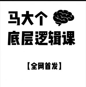 马大个·底层逻辑课，51节底层逻辑智慧课-价值1980元