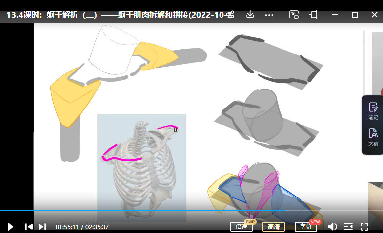 大木画画人体结构第7期2022年12月