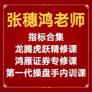 财学堂张穗鸿老师鸿雁证券专修课全集+指标合集