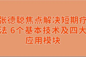 张德聪焦点解决短期疗法 6个基本技术及四大应用模块