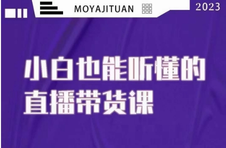 大威本威·能听懂的直播带货课，小白也能听懂，20节完整