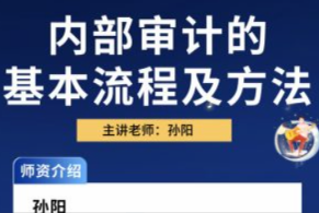 中华会计网校孙阳：内部审计方法及流程（视频）