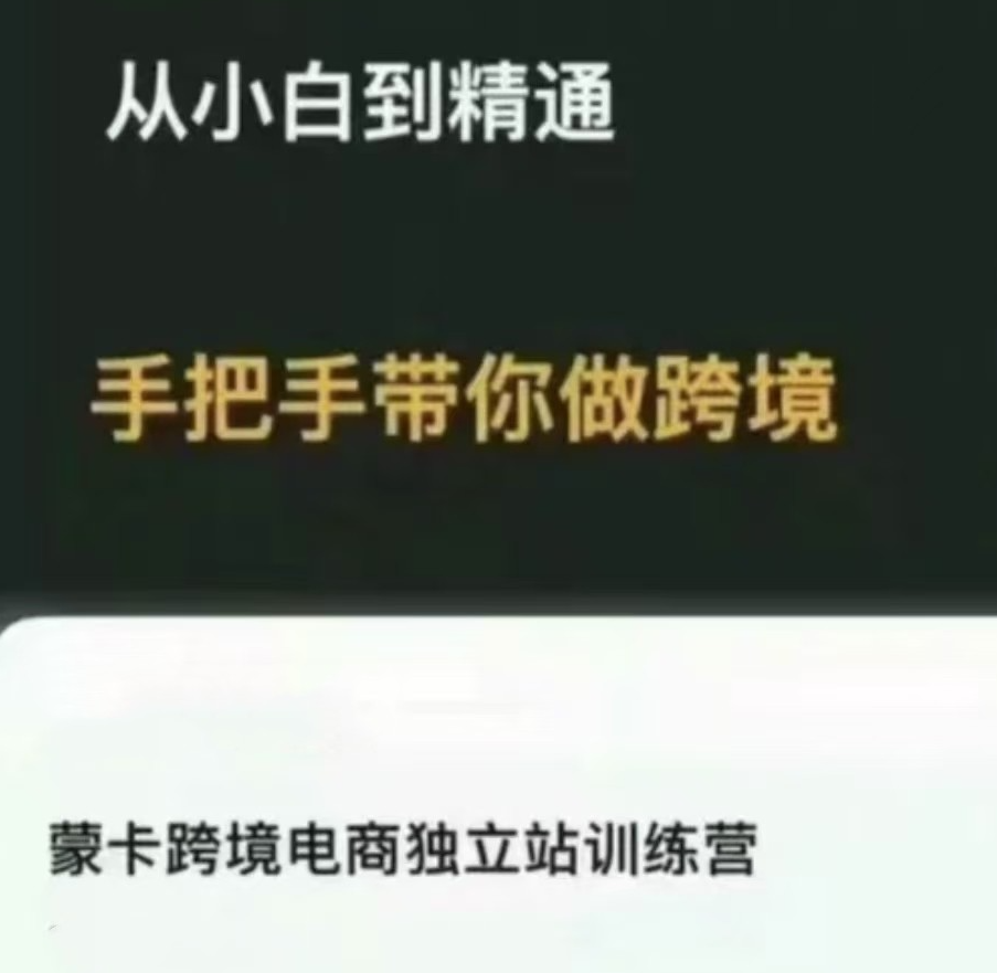 蒙卡跨境电商独立站训练营，从小白到精通手把手教你做跨境+独立站建站实战