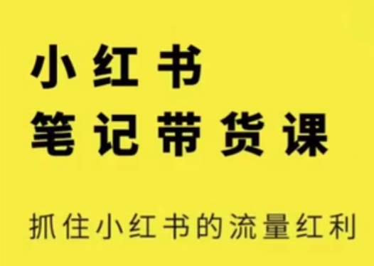 张宾电商小红书笔记带货课,流量电商新机会，抓住小红书的流量红利